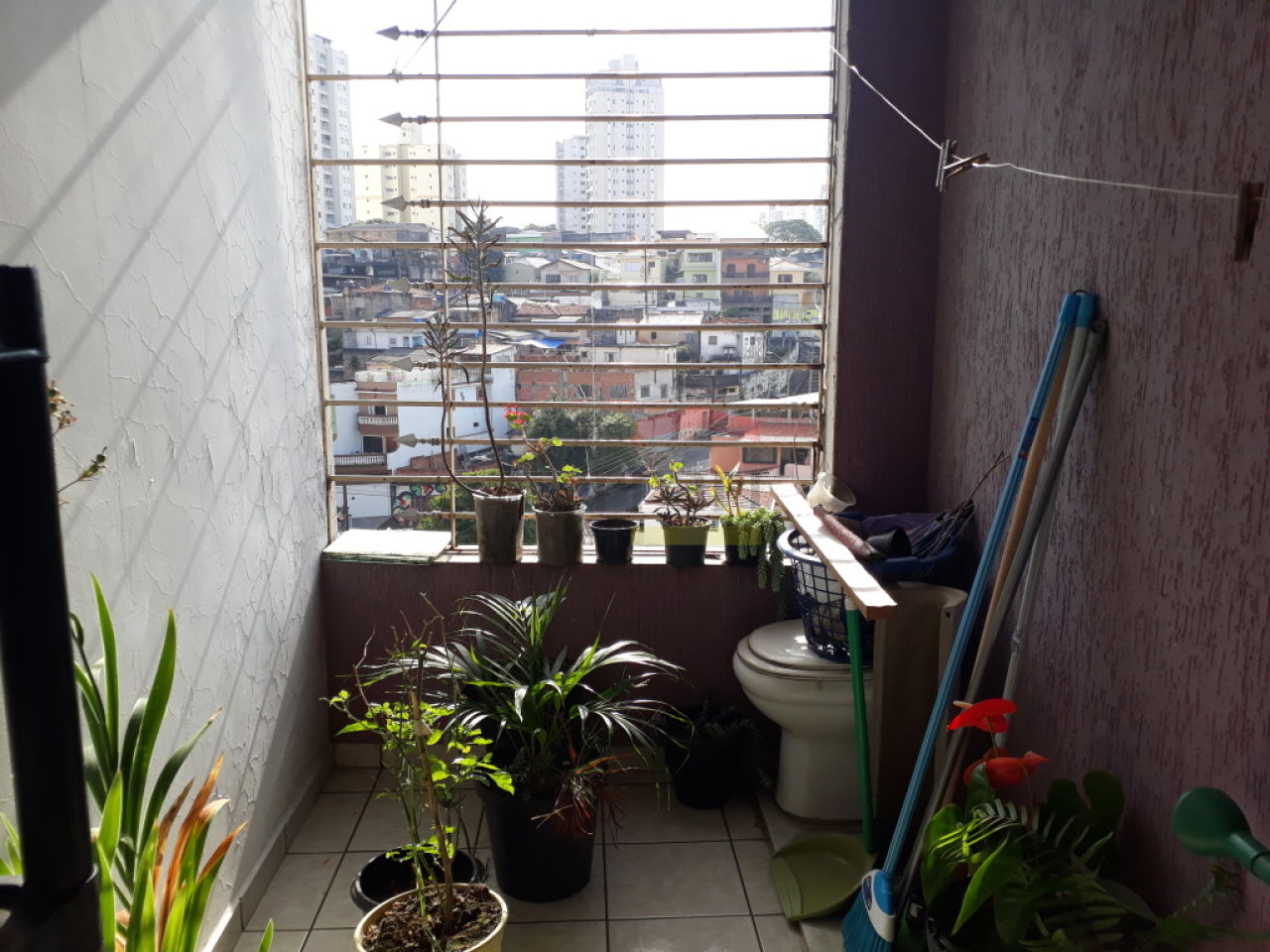 Foto 12