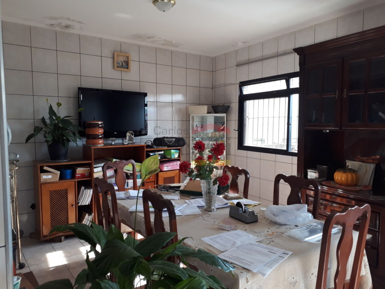Foto 21