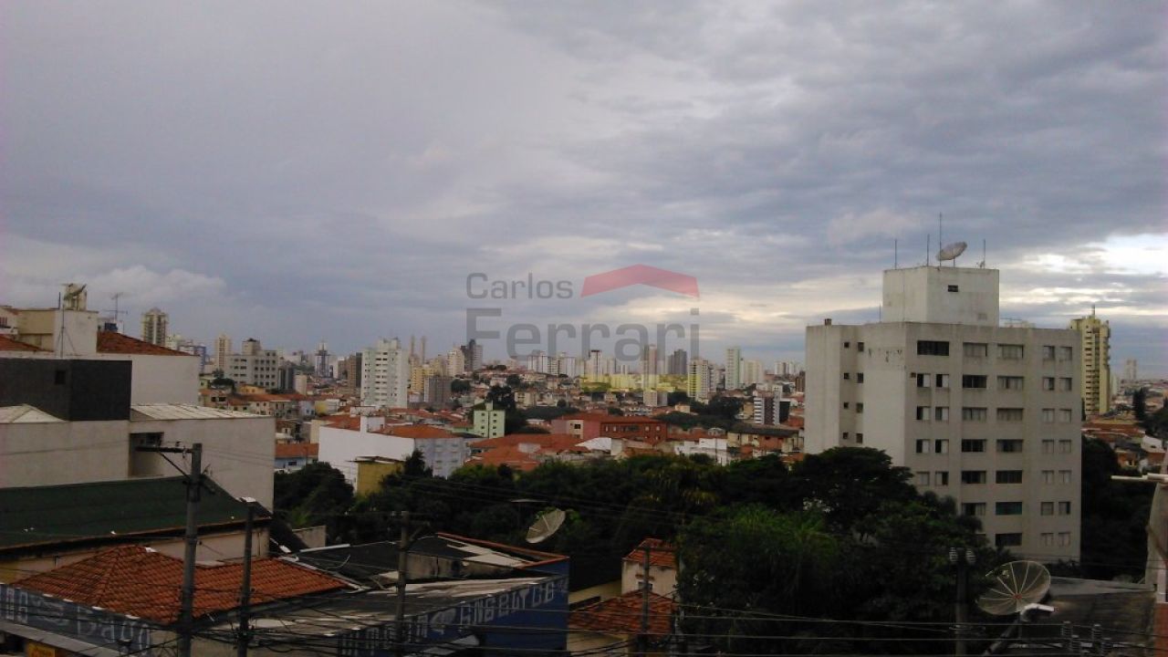 Foto 19