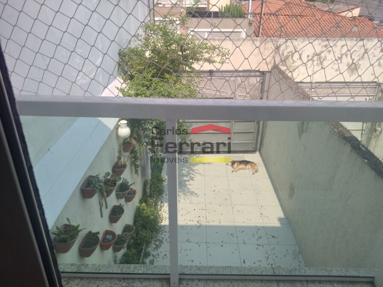 Foto 22