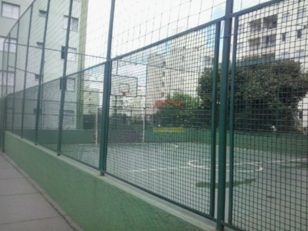 Foto 11