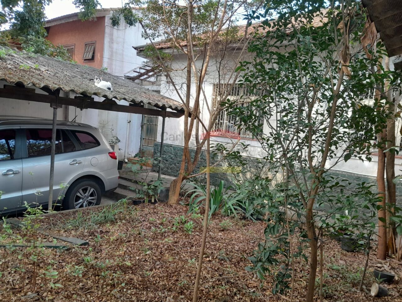 Foto 9
