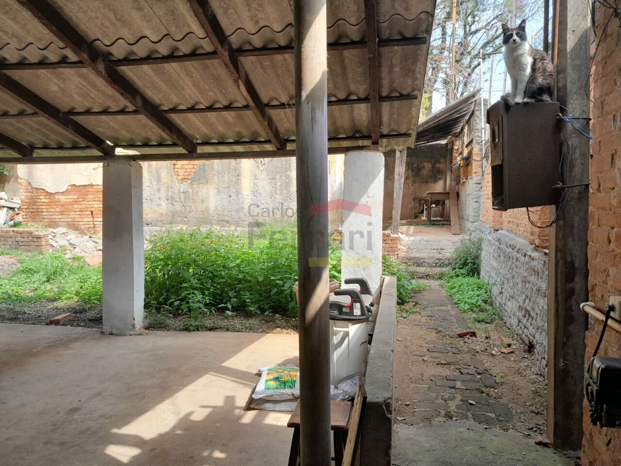 Foto 12