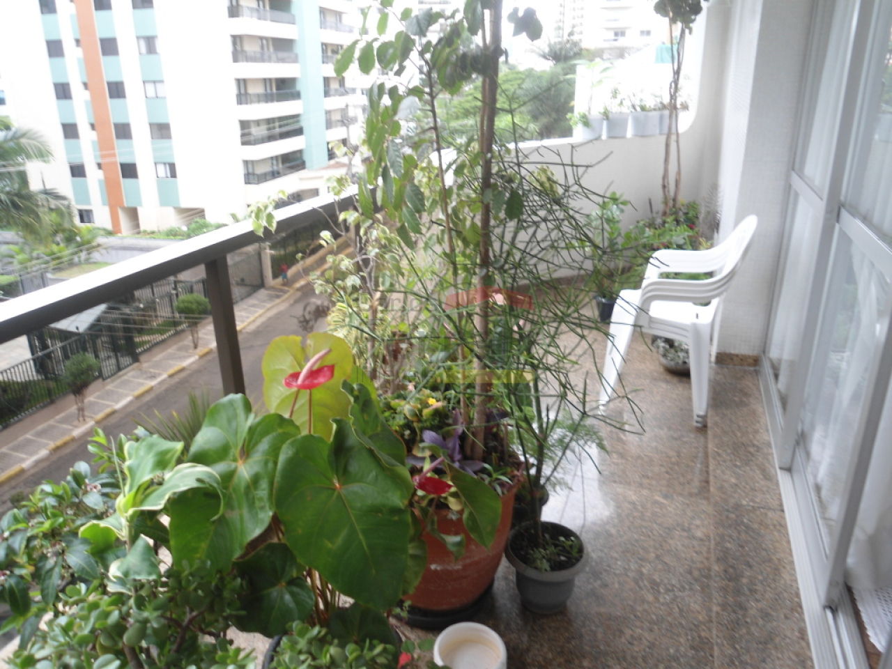 Foto 15