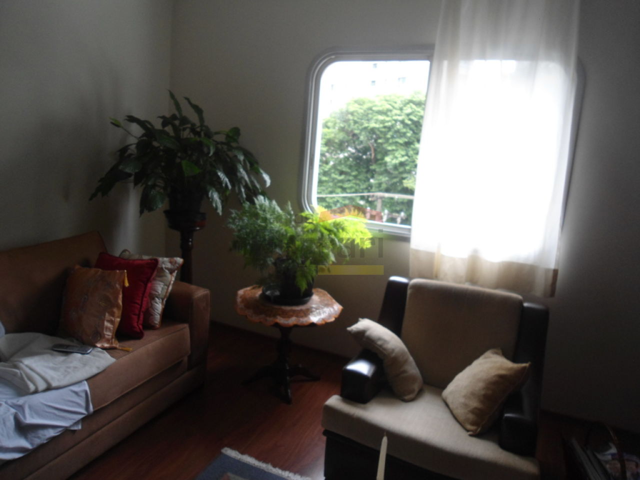 Foto 19