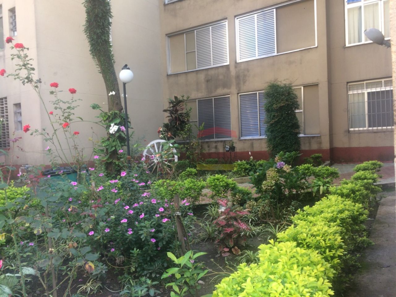 Foto 12