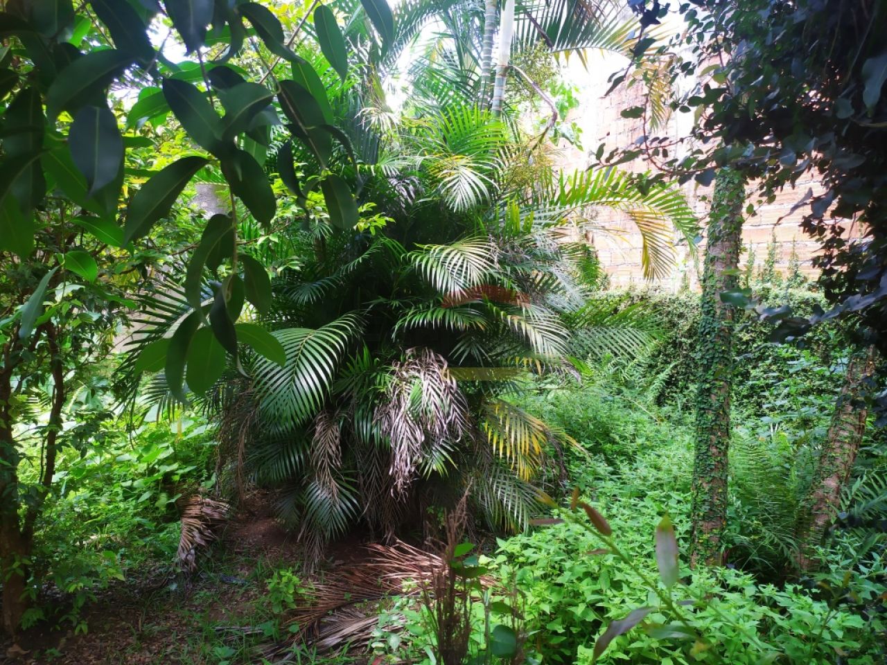 Foto 7