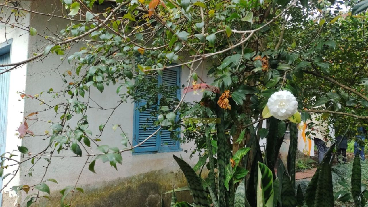 Foto 6