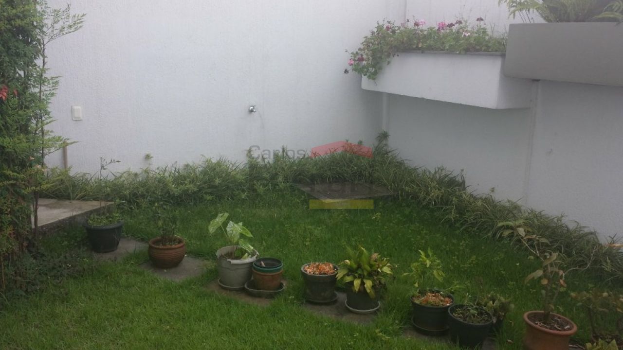 Foto 37