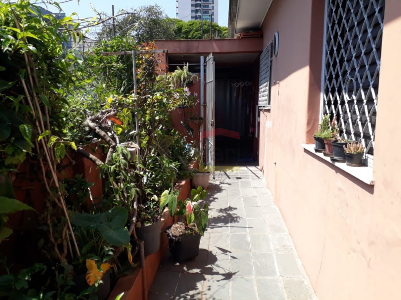 Foto 15