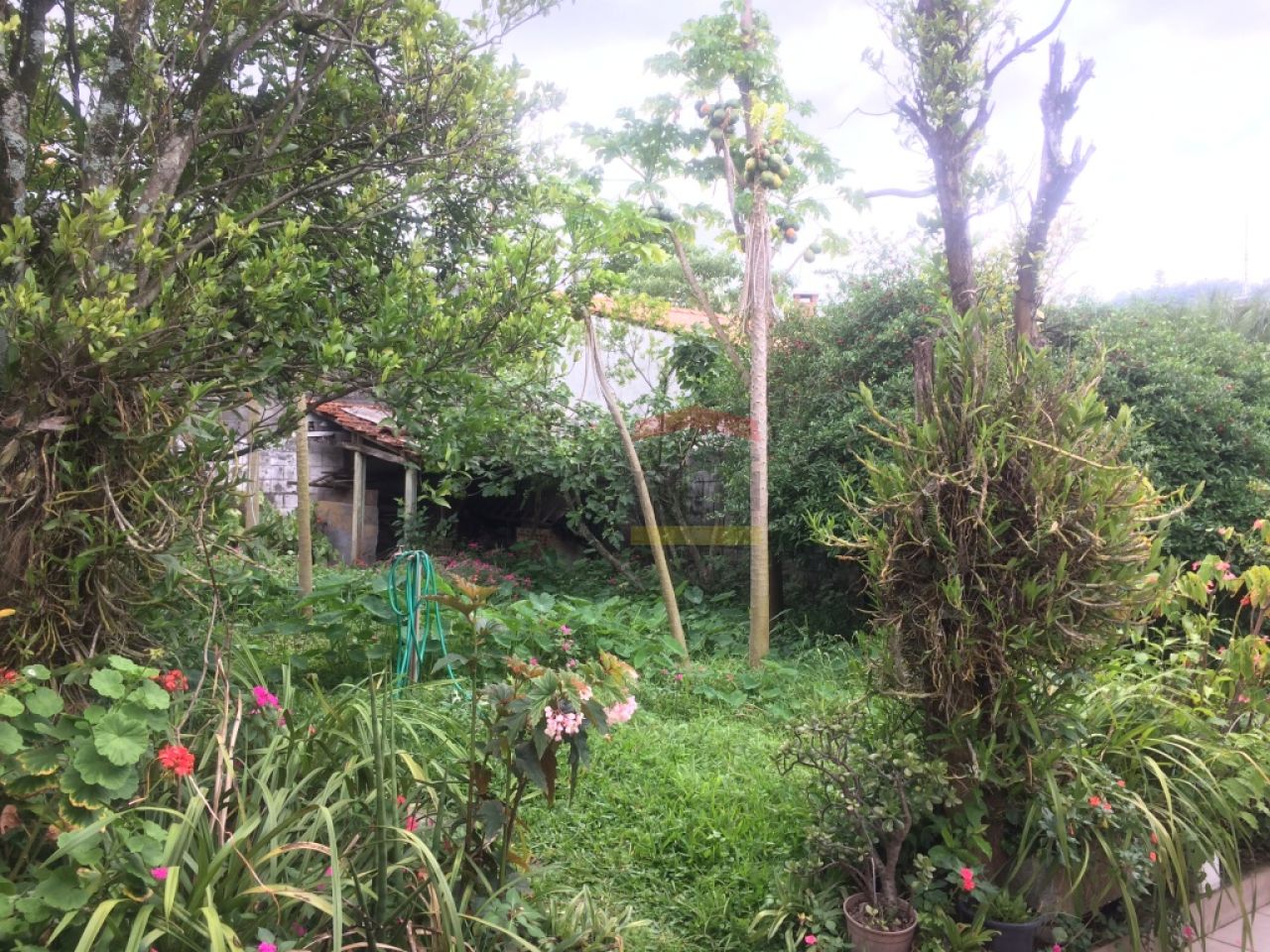 Foto 16