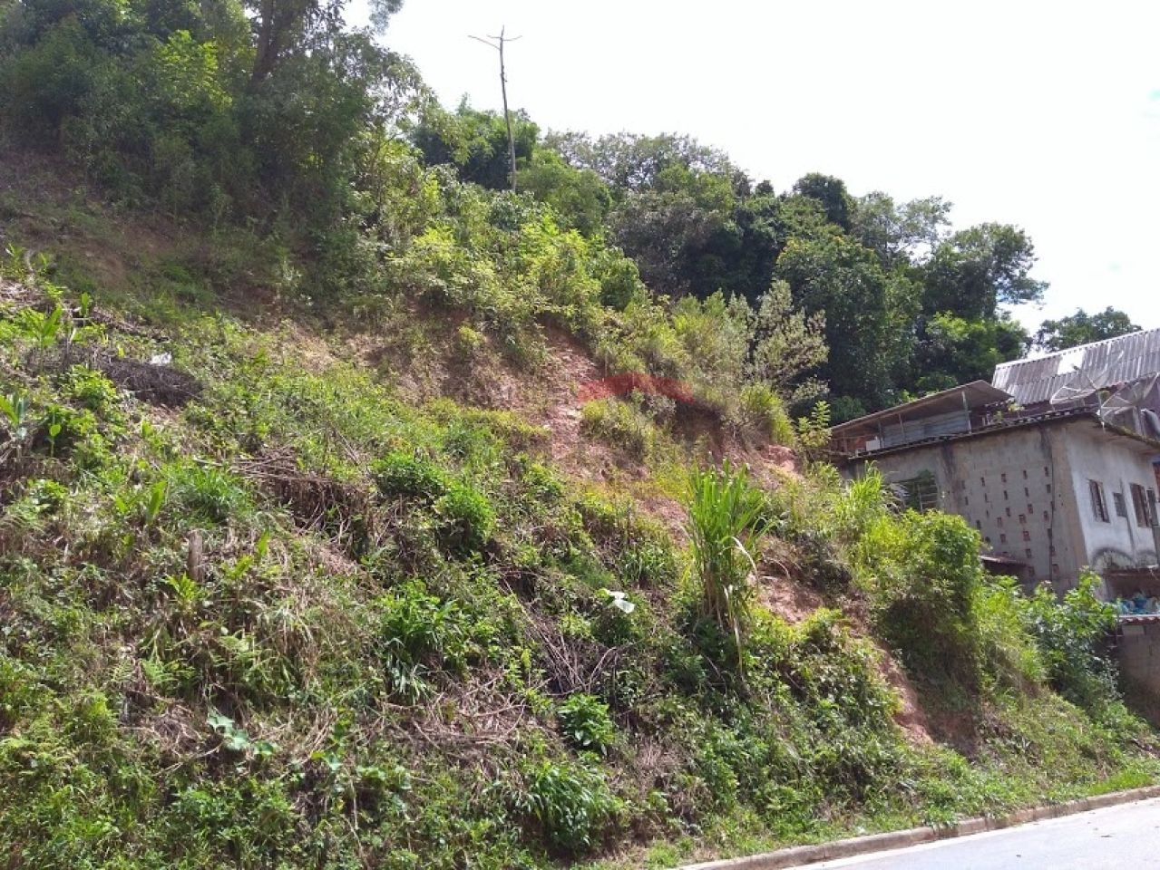 Foto 0