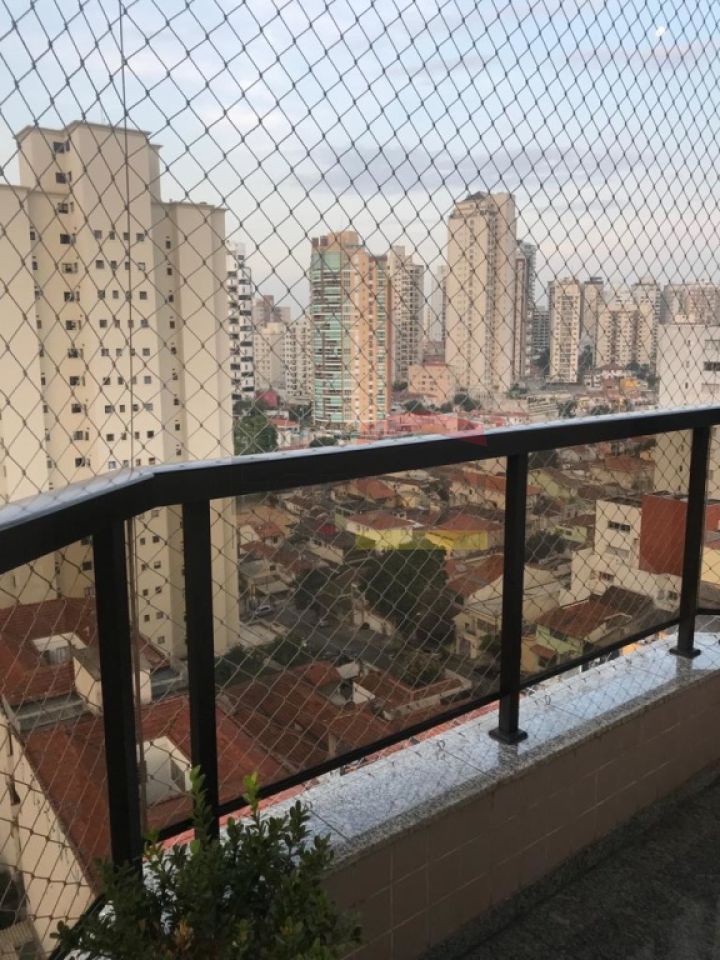 Foto 16