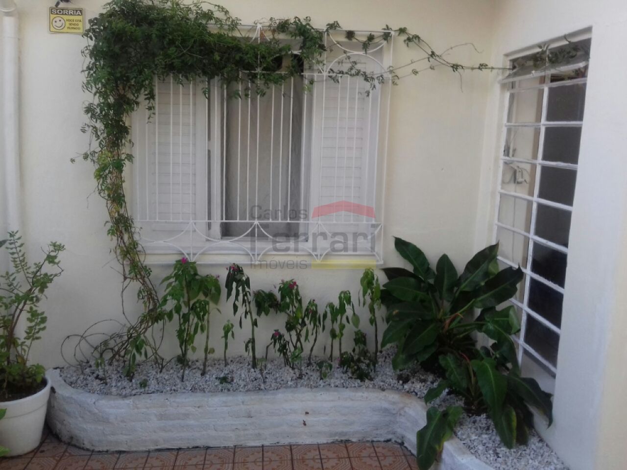 Foto 0