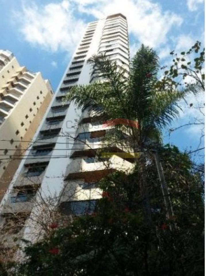 Foto 17