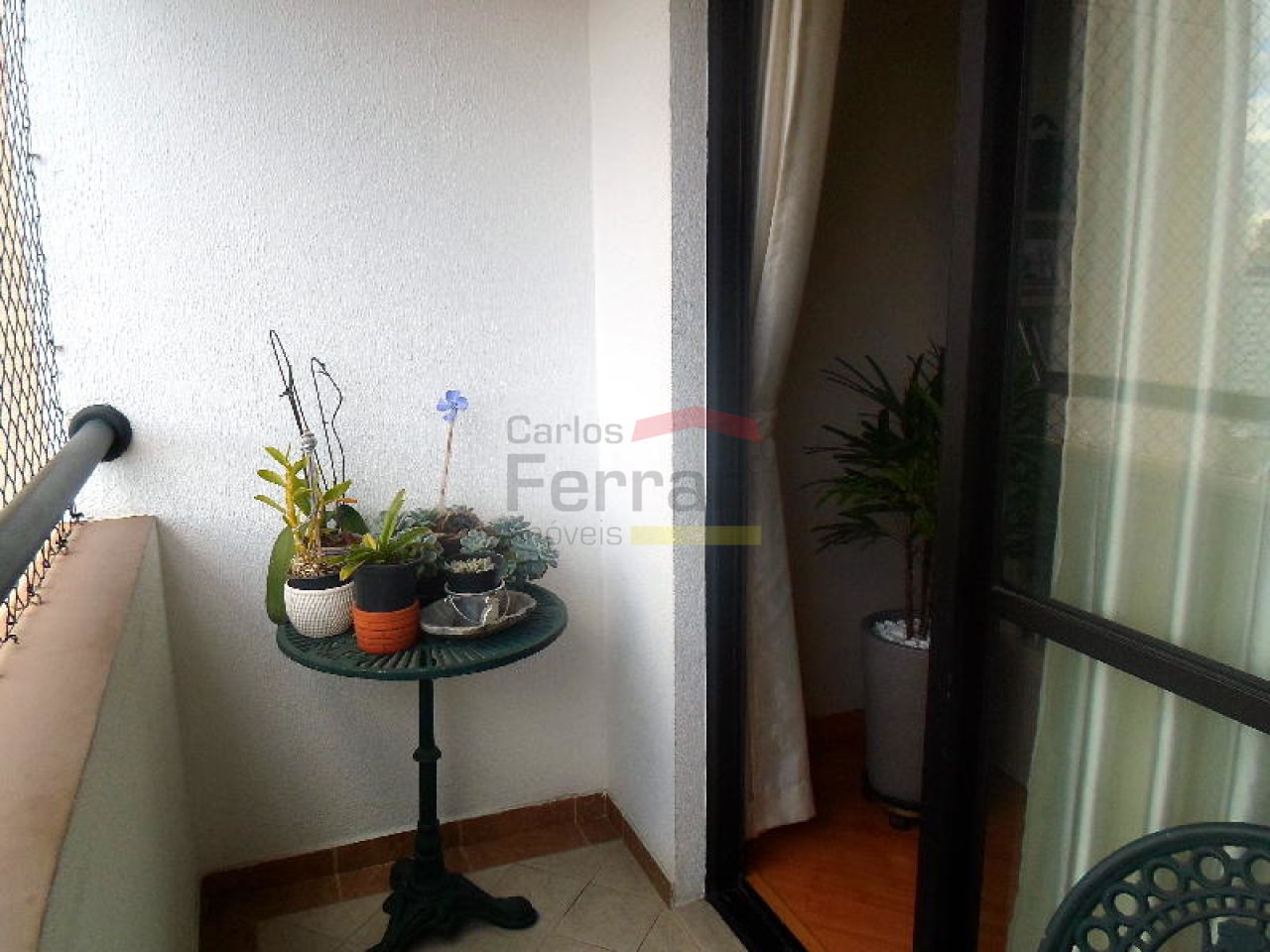 Foto 6