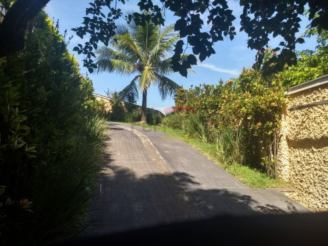 Foto 0