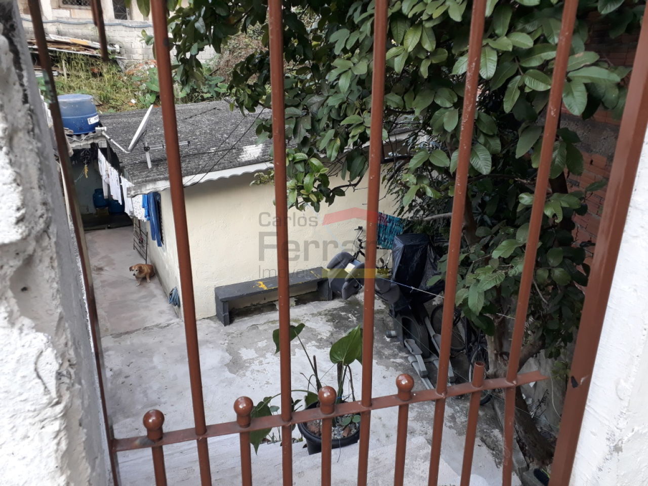 Foto 12