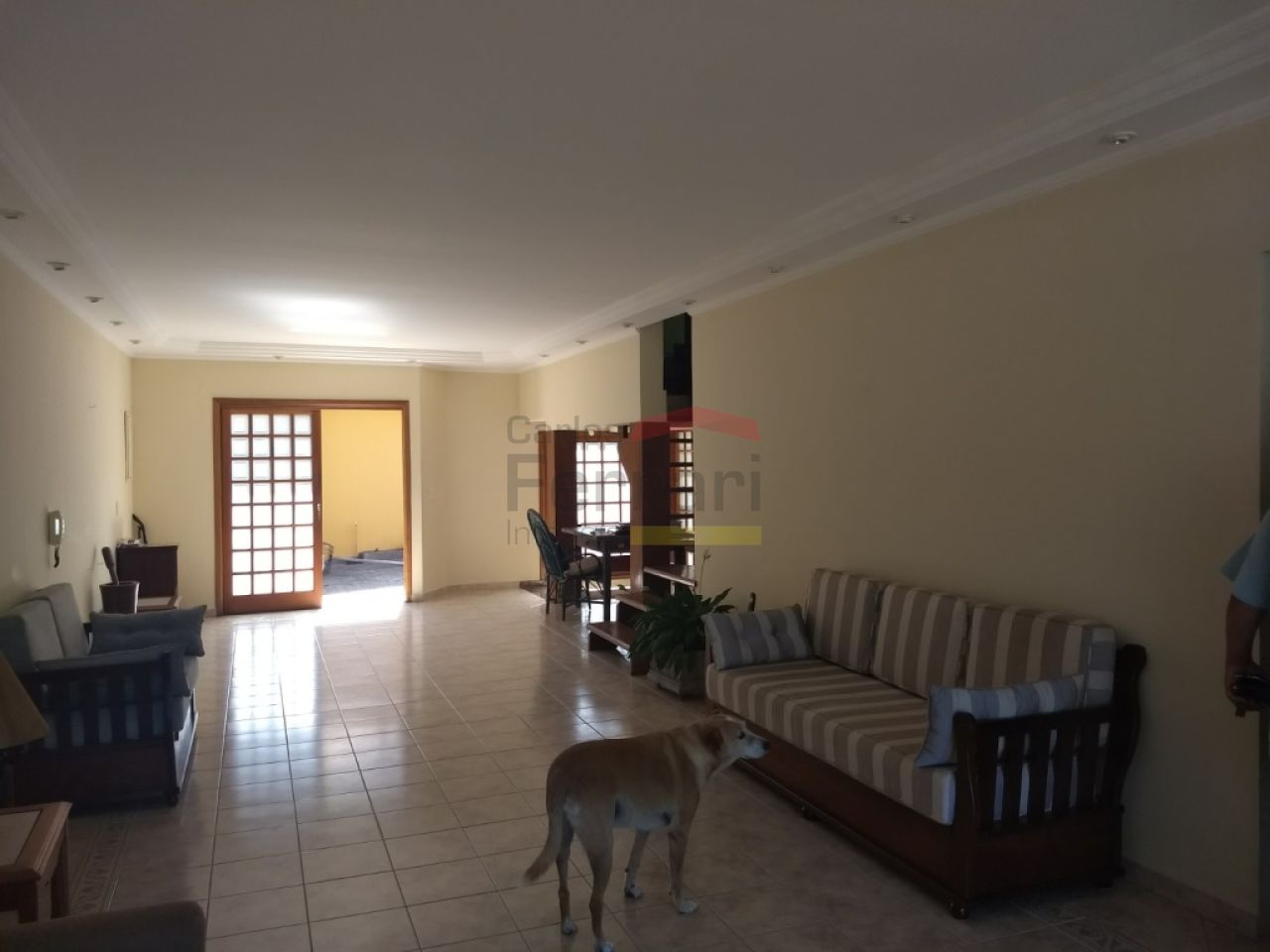 Foto 7