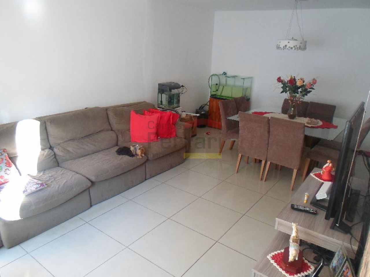 Foto 3