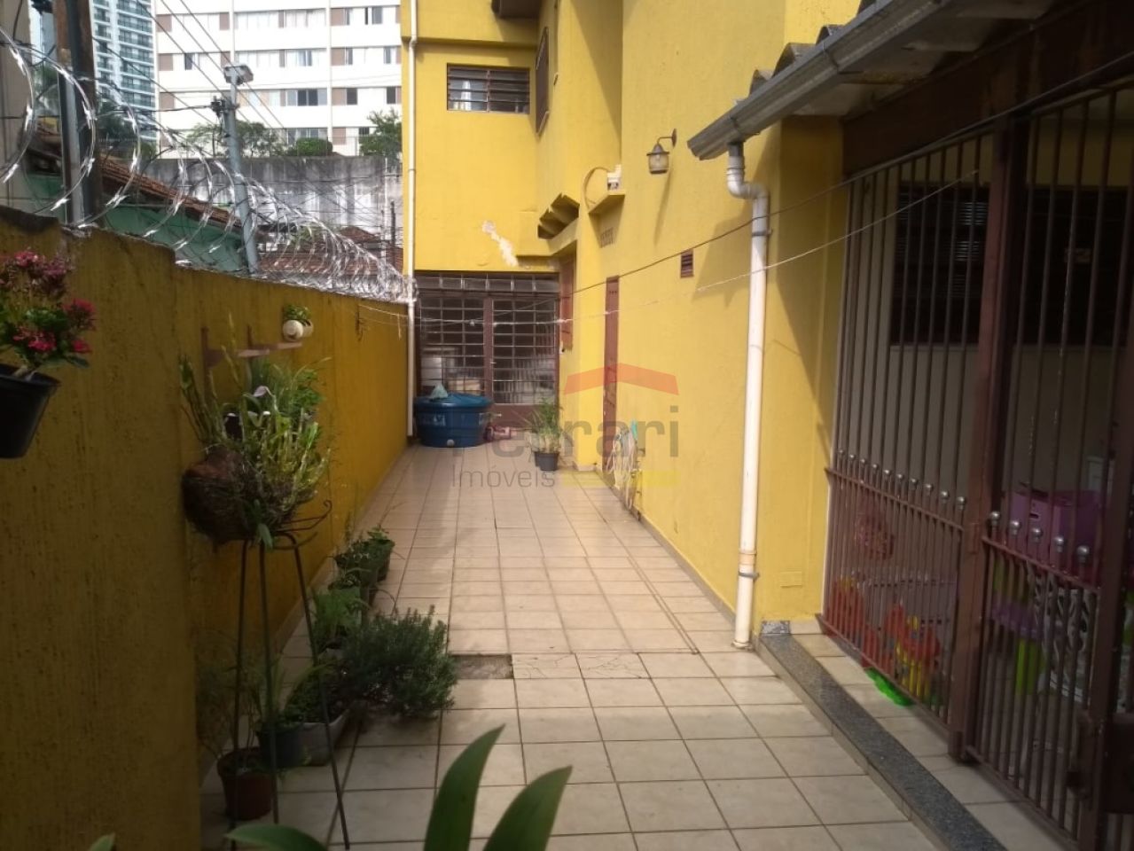 Foto 24