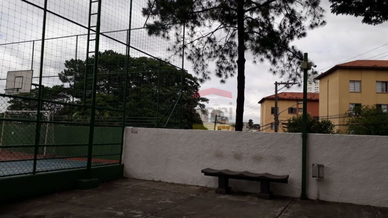 Foto 16