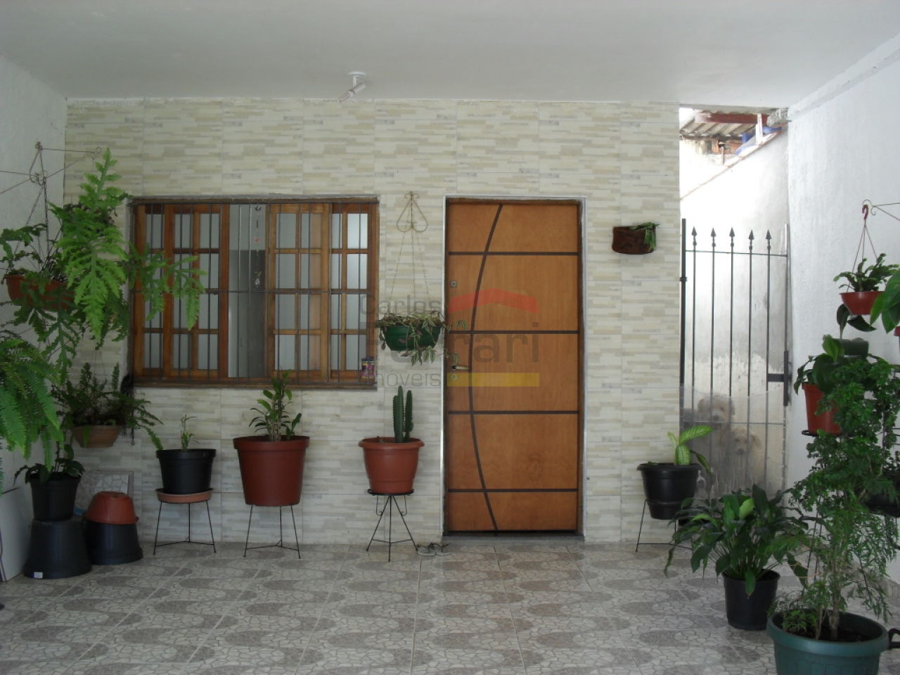 Foto 2