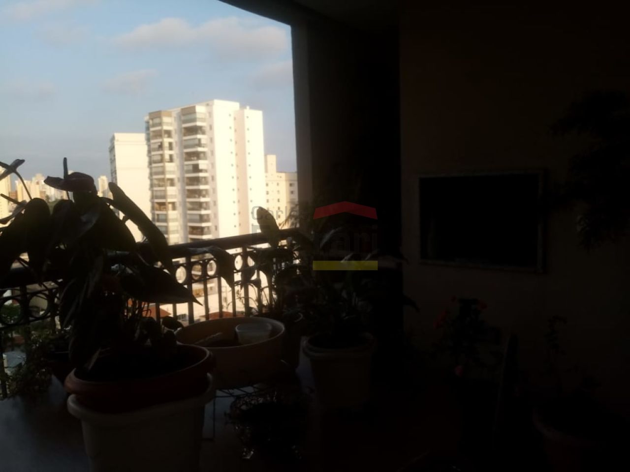 Foto 25