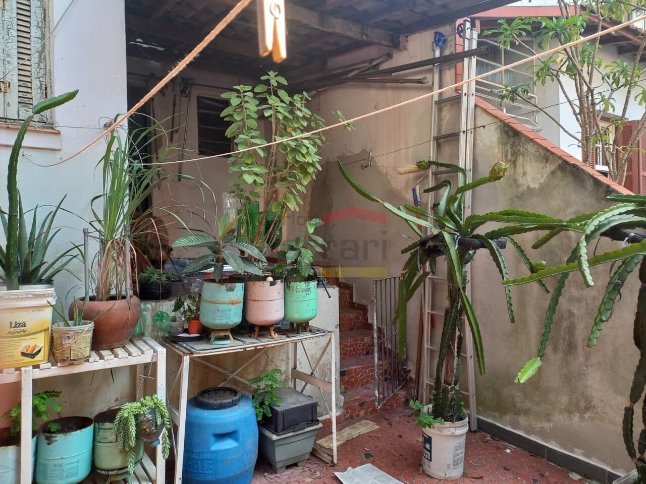 Foto 17