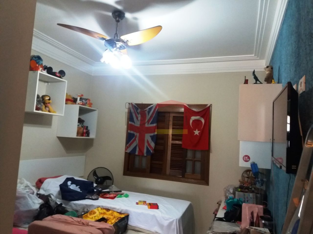 Foto 15