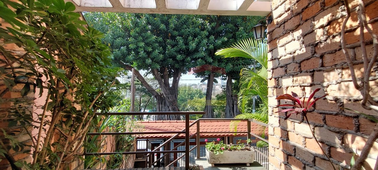 Foto 47