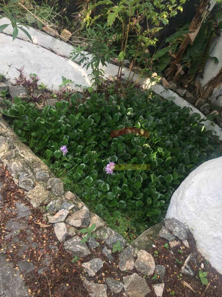 Foto 24