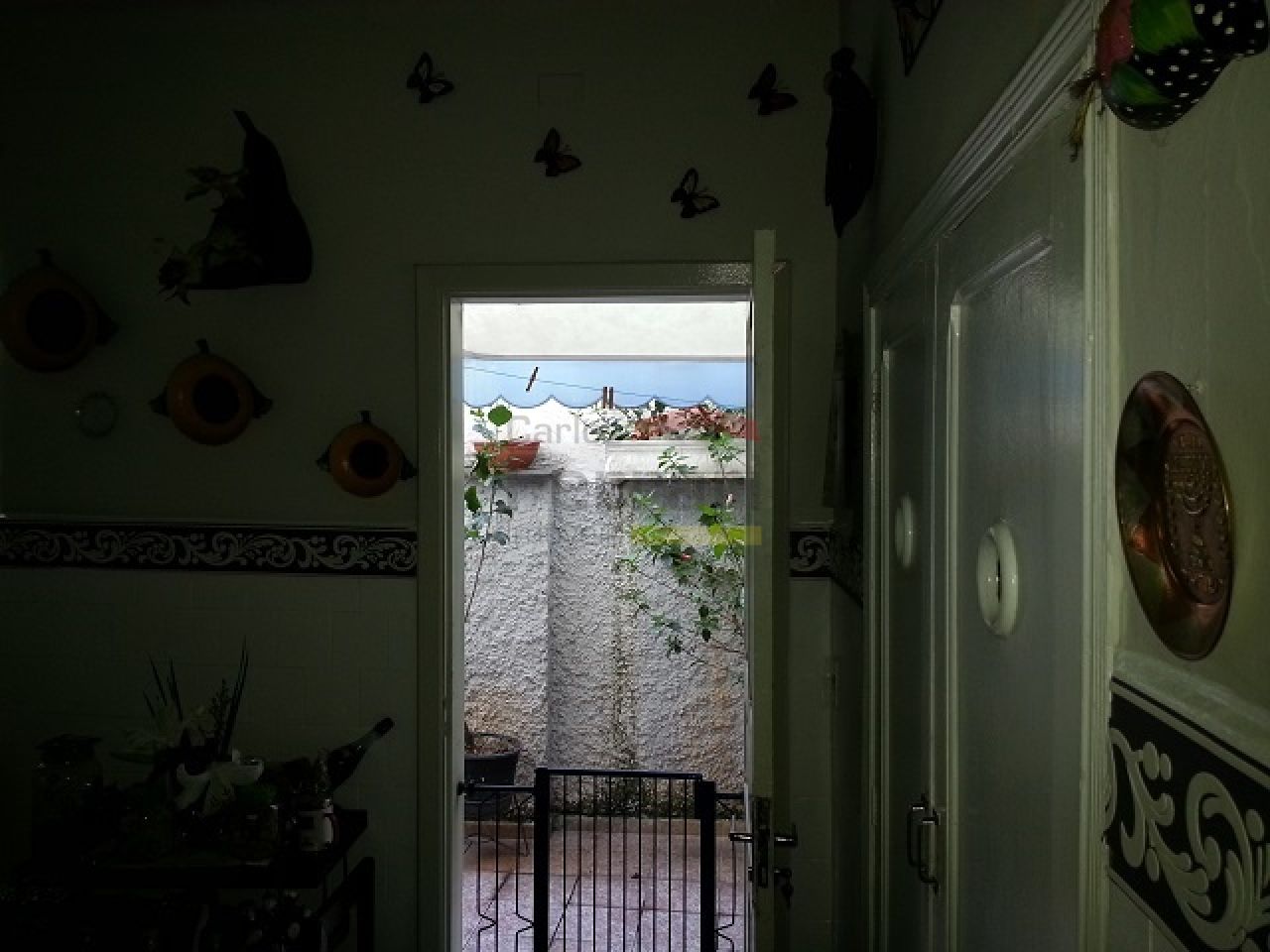 Foto 7