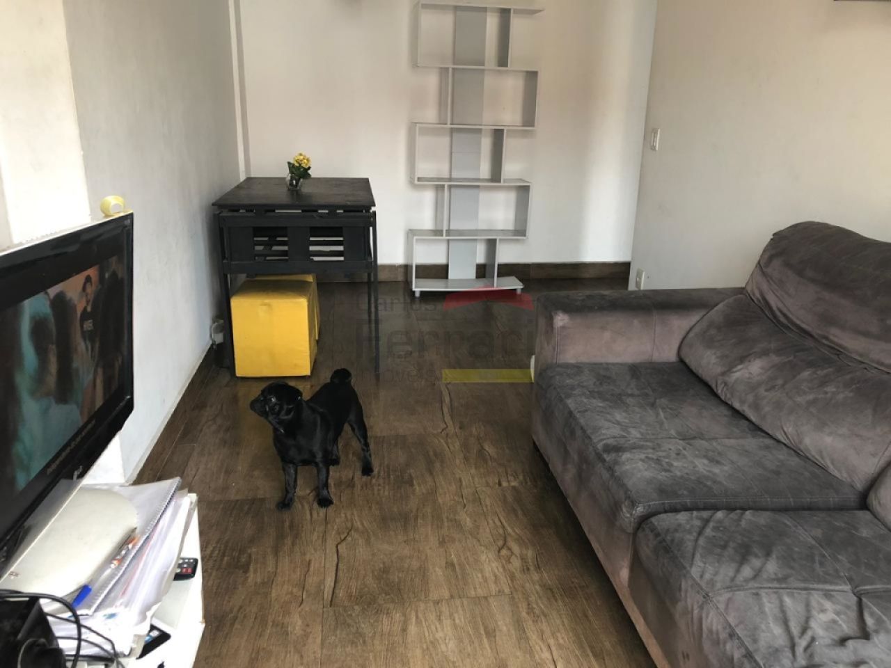 Foto 1
