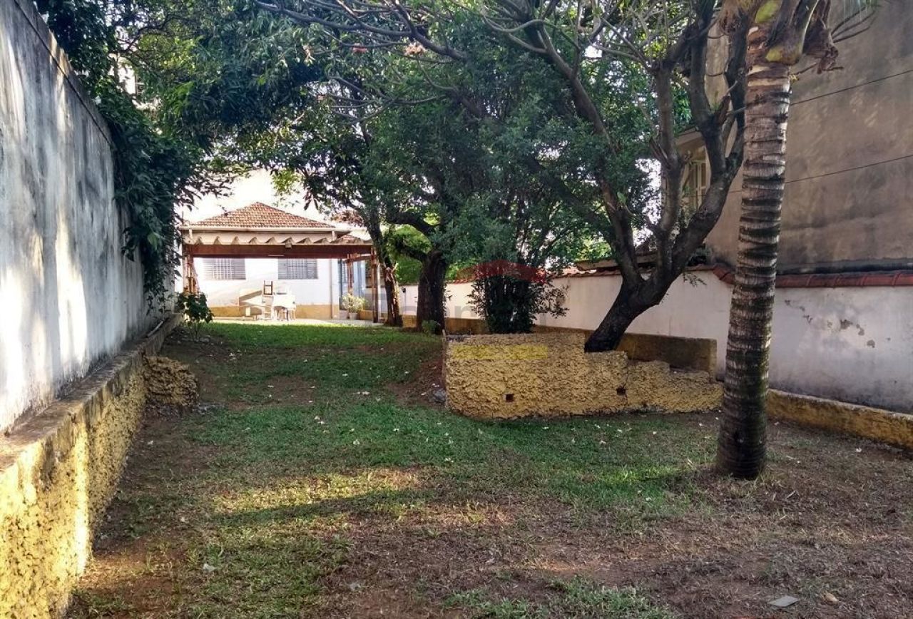 Foto 0