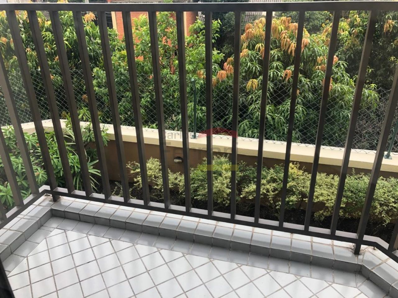 Foto 15