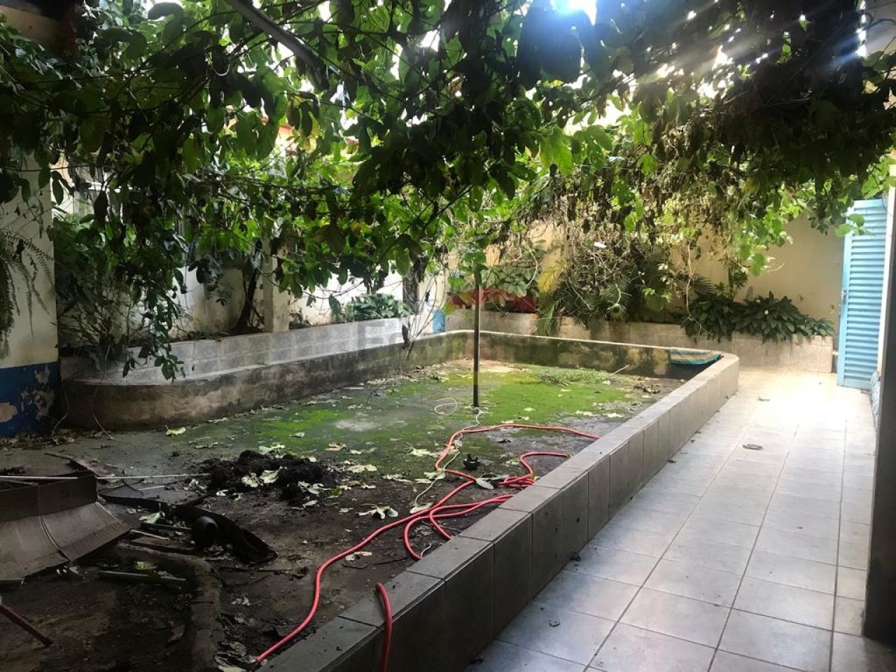 Foto 10