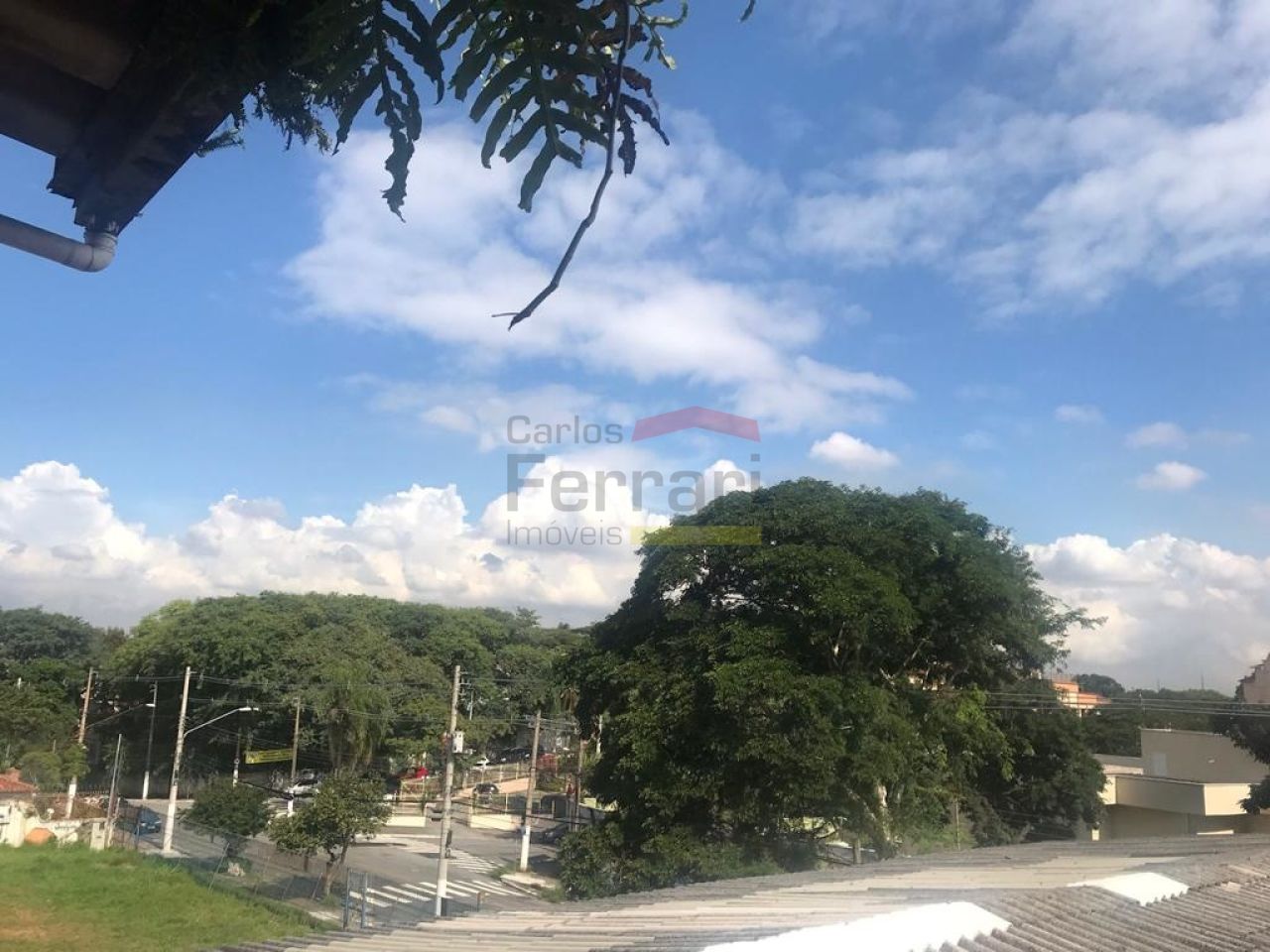 Foto 0