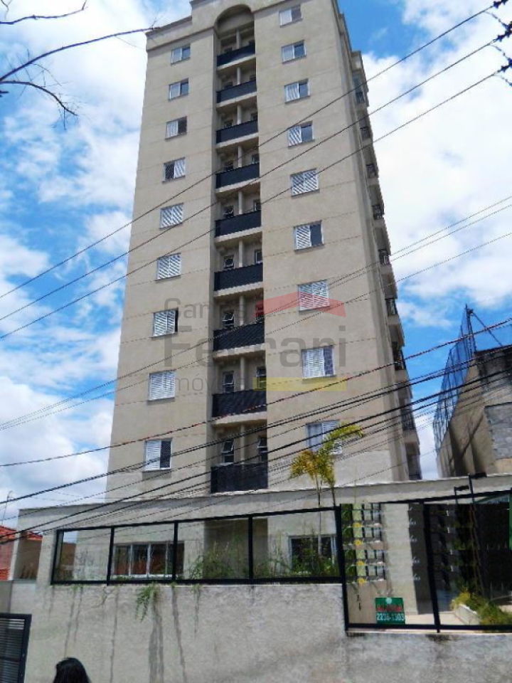 Foto 20