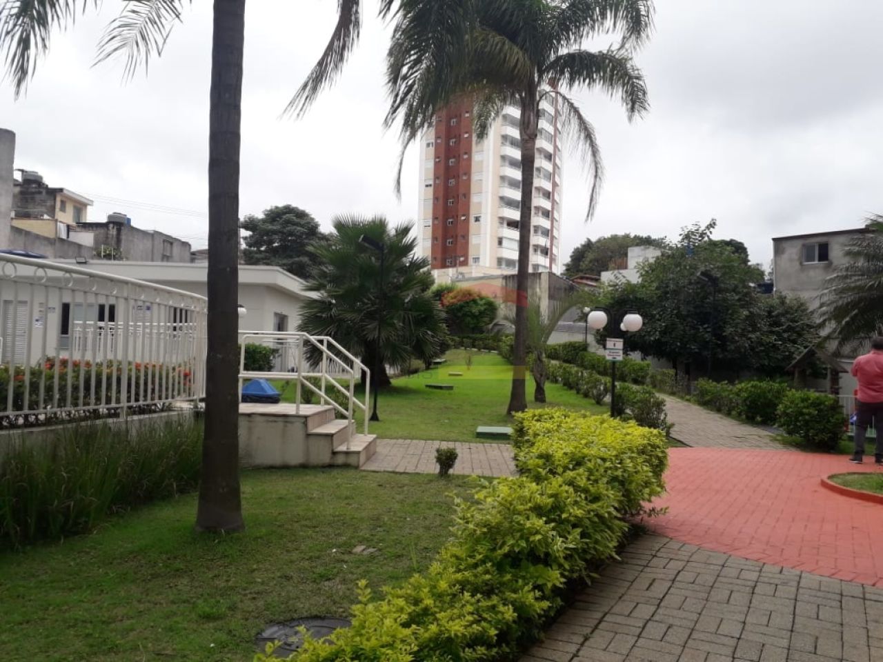 Foto 5