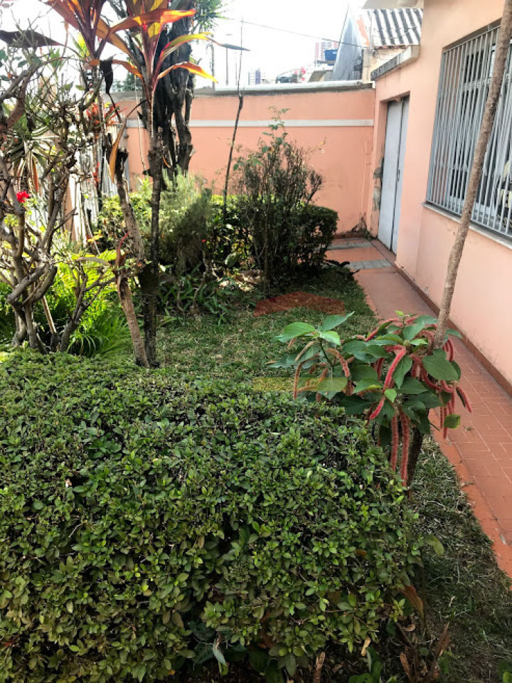Foto 24