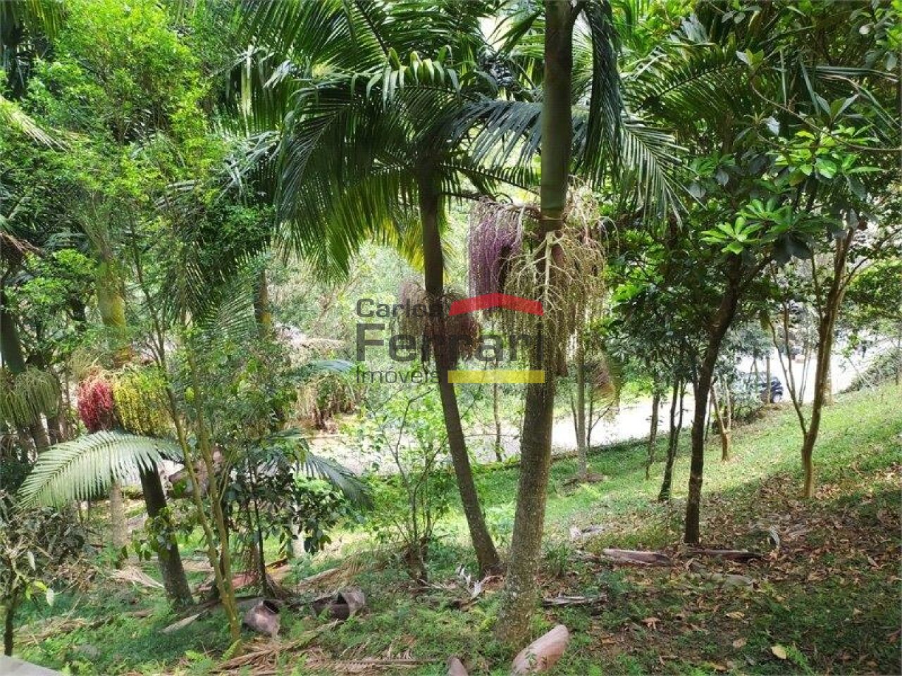 Foto 34