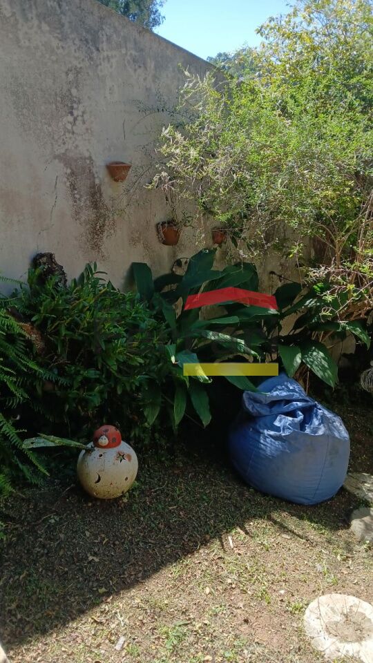 Foto 41
