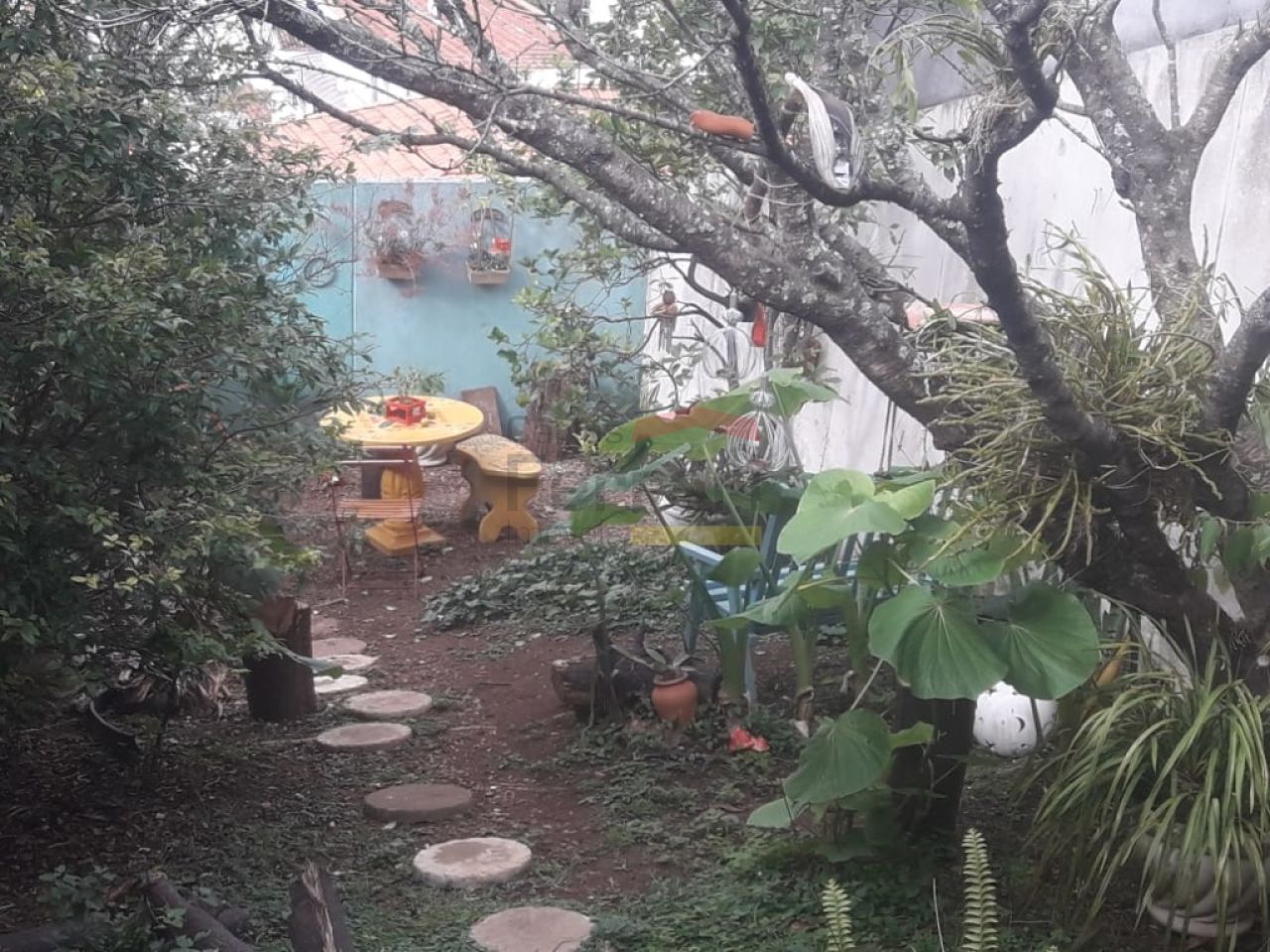 Foto 11