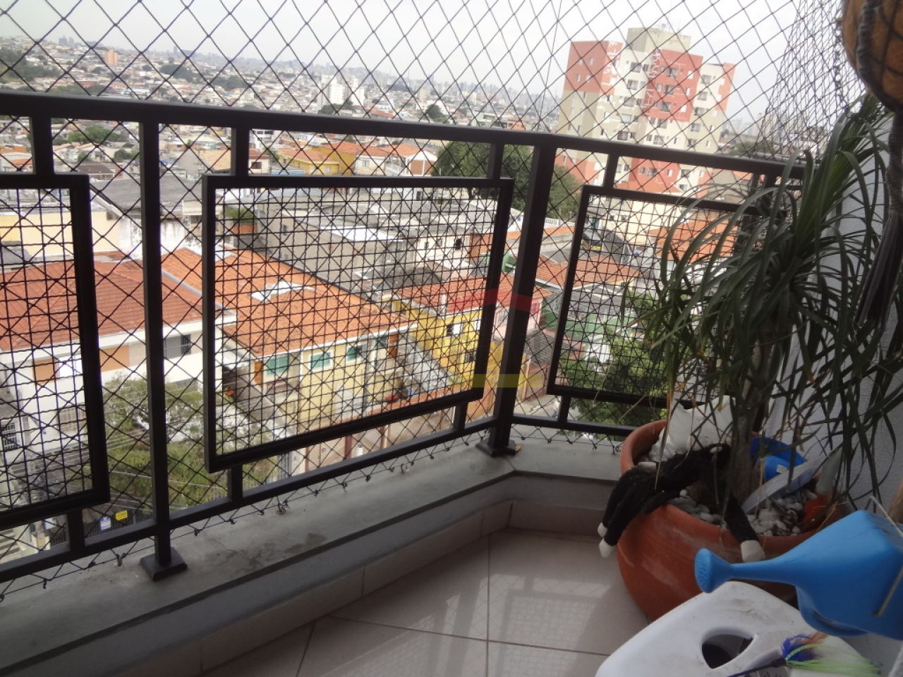 Foto 25