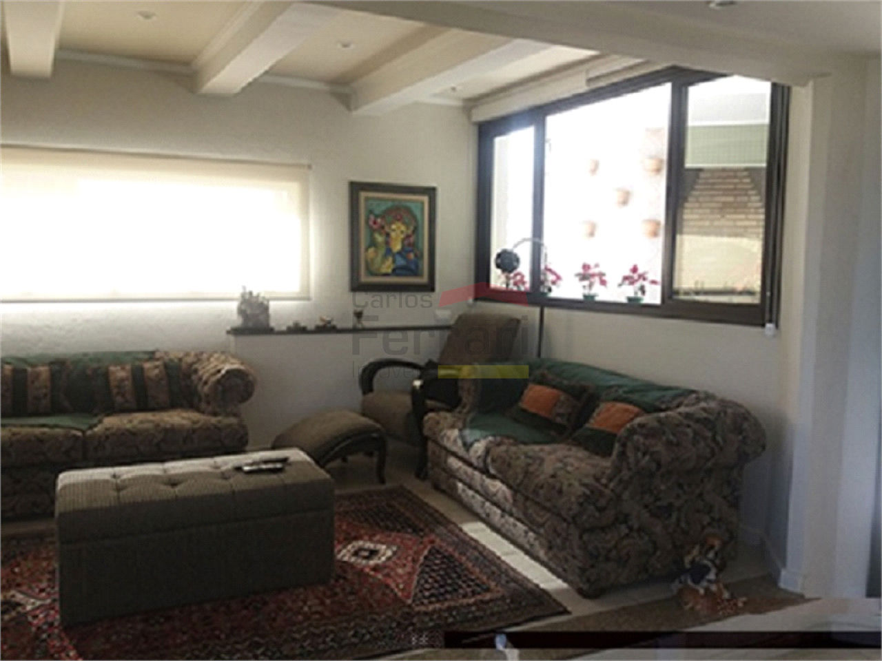 Foto 6