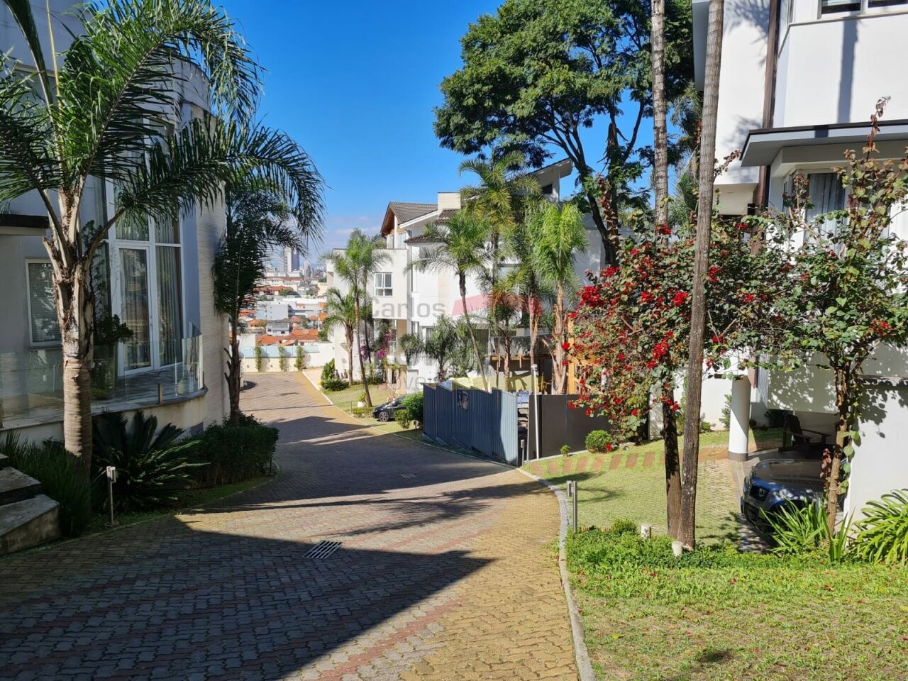 Foto 46