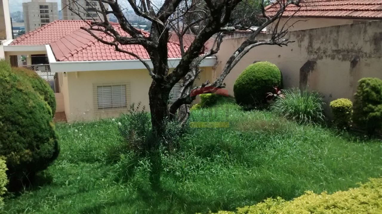 Foto 21