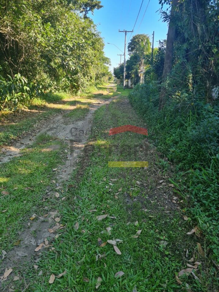 Foto 21