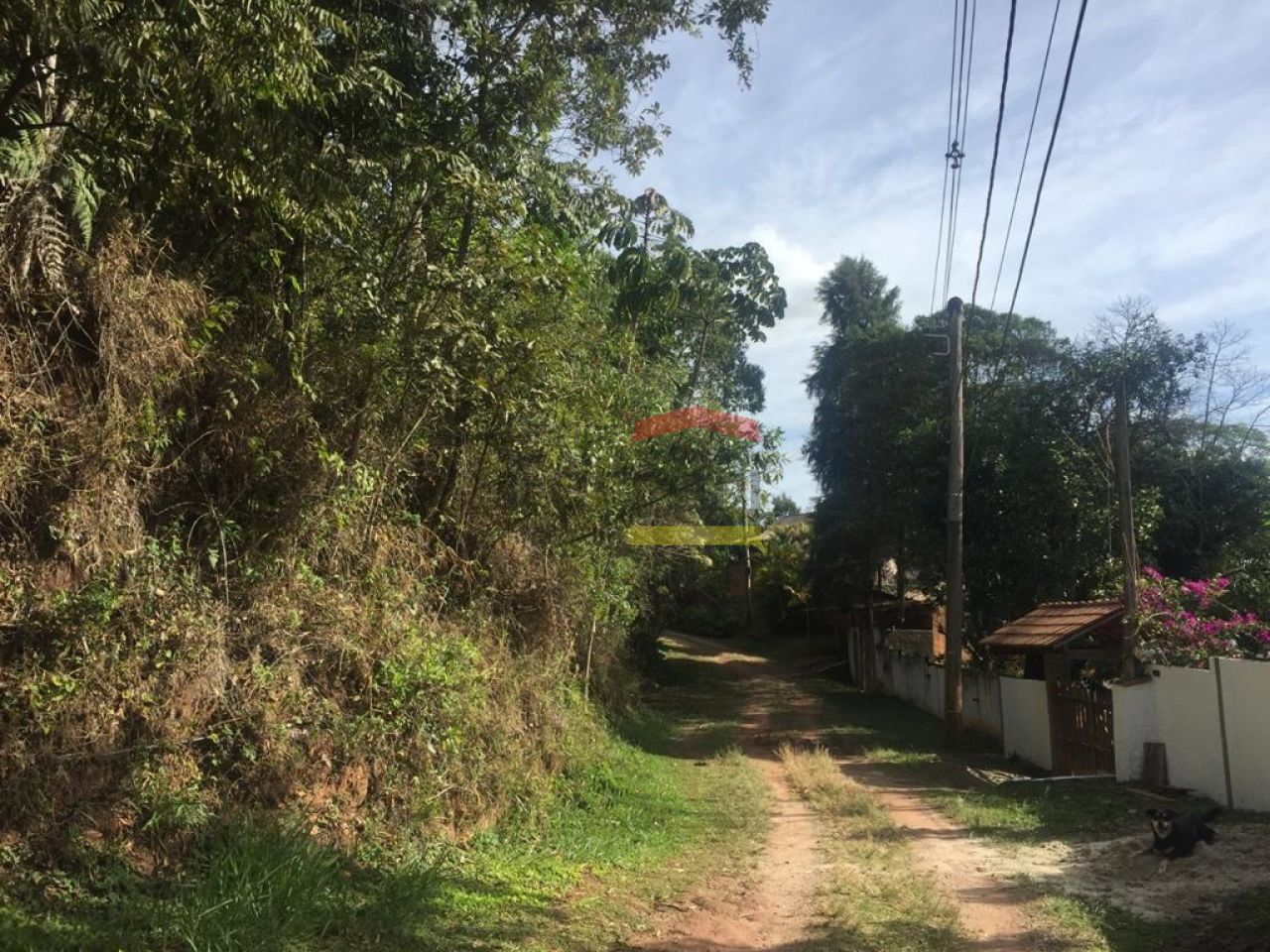 Foto 13